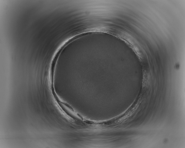 X0000097910796200803211504