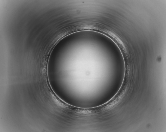 X0000097910801200803211503