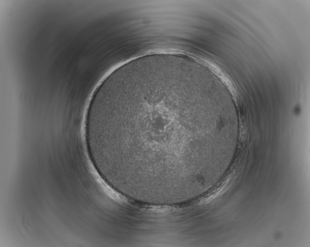 X0000097910803200803211503