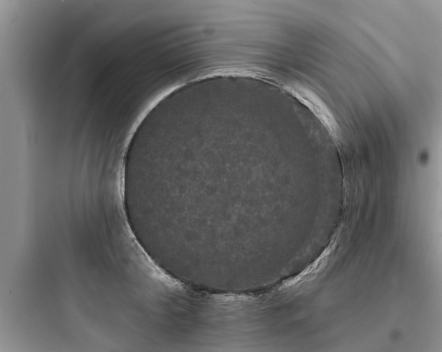 X0000097910804200803211503