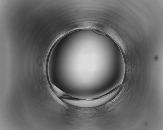 X0000097910805200803211503