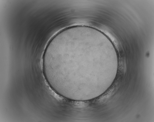 X0000097910807200803211503