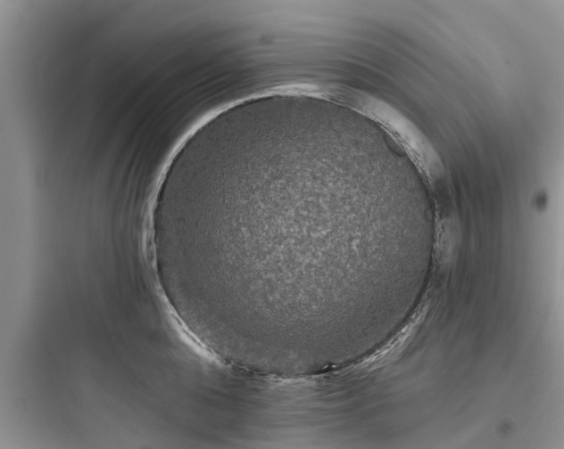 X0000097910808200803211503