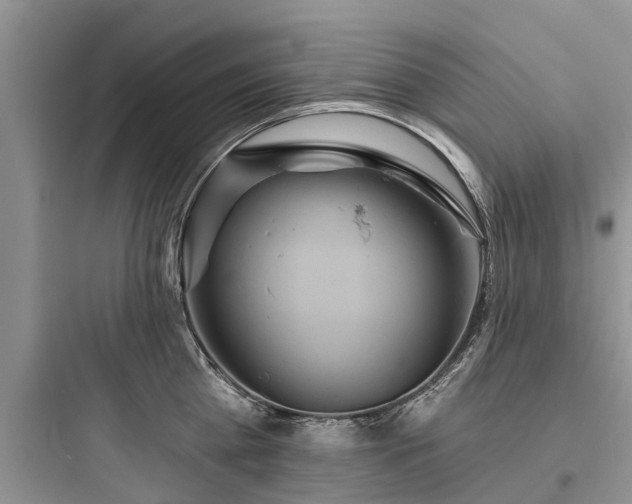 X0000097910809200803211503