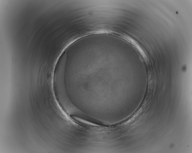 X0000097910810200803211503