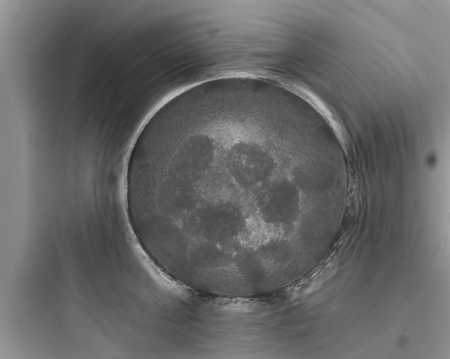 X0000097910811200803211503