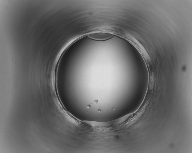 X0000097910812200803211503