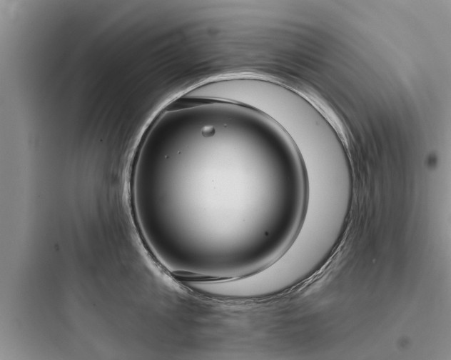 X0000097910813200803211503