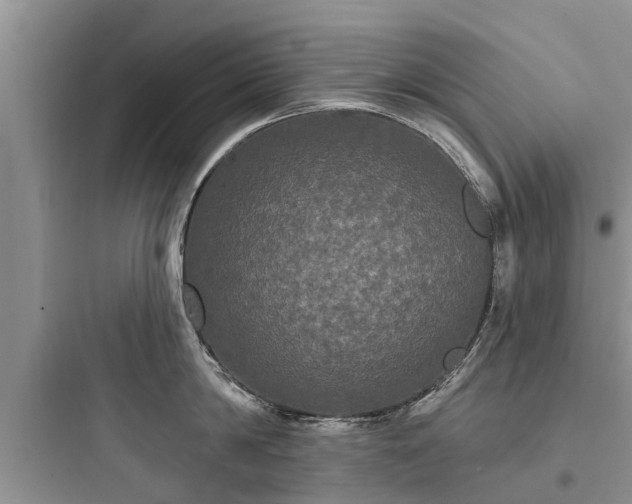 X0000097910814200803211503