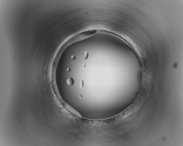 X0000097910815200803211503