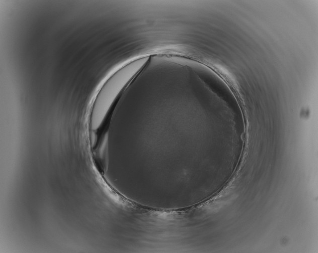 X0000097910816200803211503