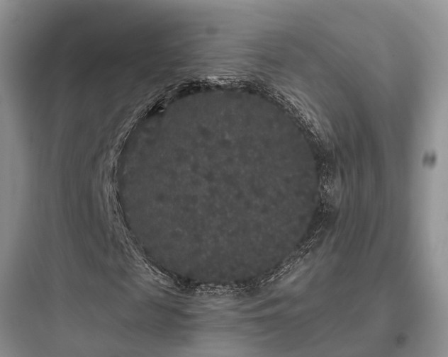 X0000097910817200803211503