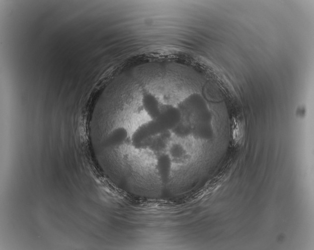 X0000097910819200803211503