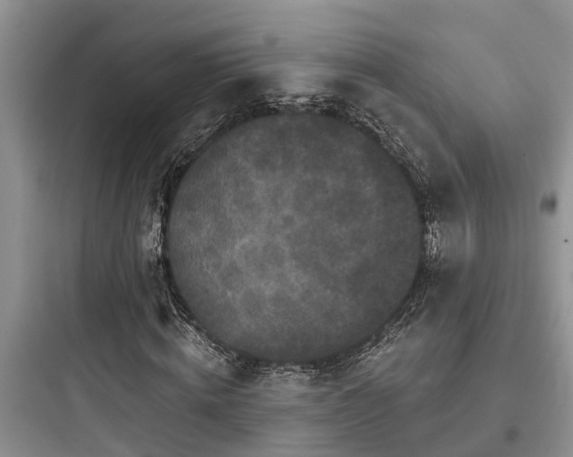 X0000097910820200803211503