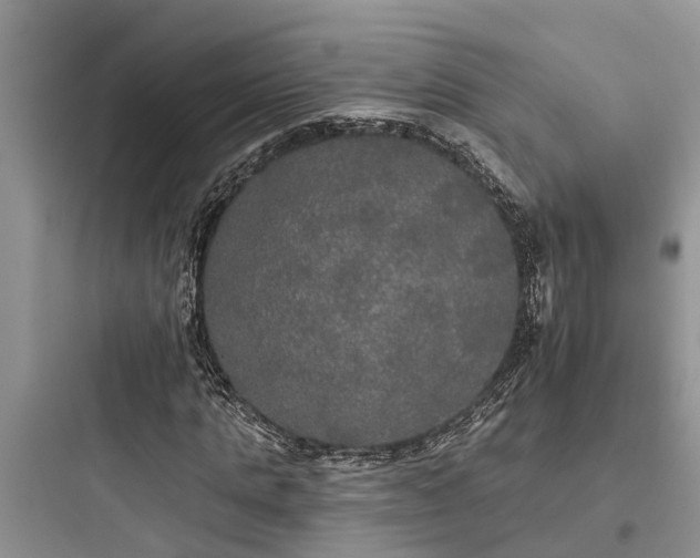 X0000097910821200803211503