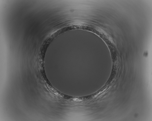 X0000097910822200803211503