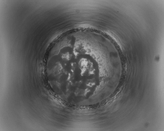 X0000097910823200803211503