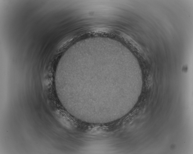 X0000097910824200803211503