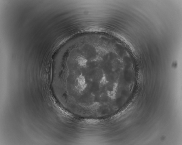 X0000097910825200803211503