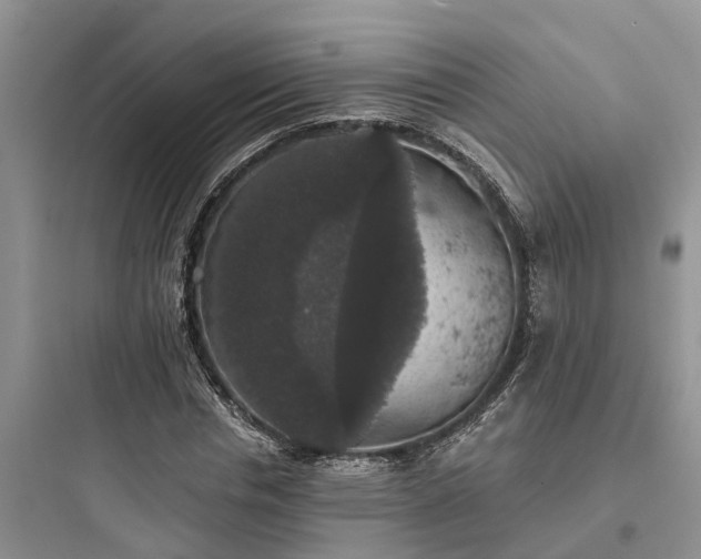 X0000097910826200803211503