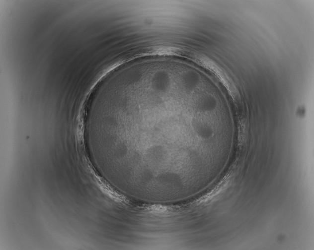 X0000097910827200803211503