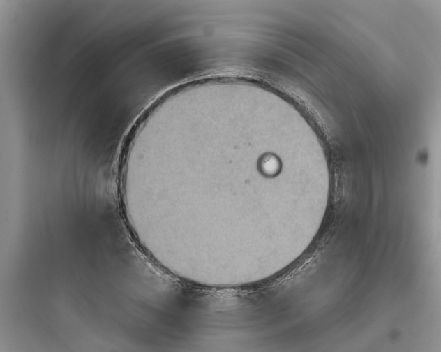 X0000097910828200803211503