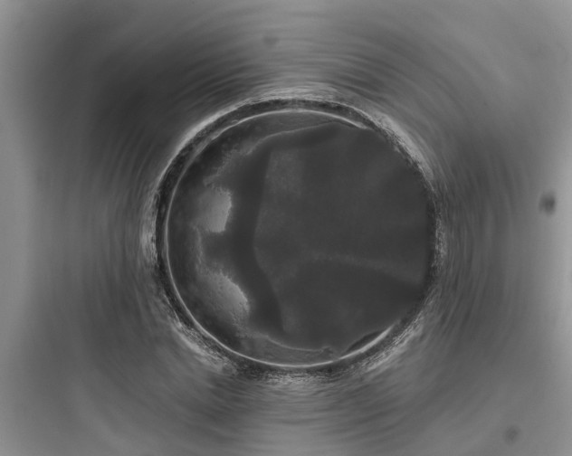 X0000097910830200803211503