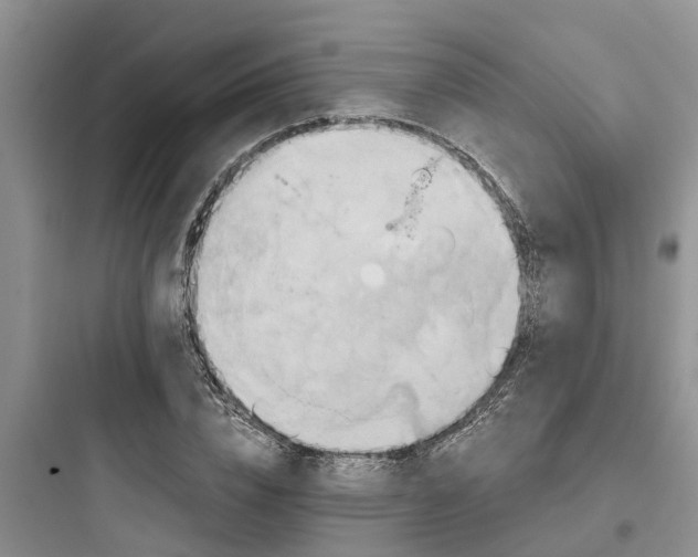 X0000097910832200803211503