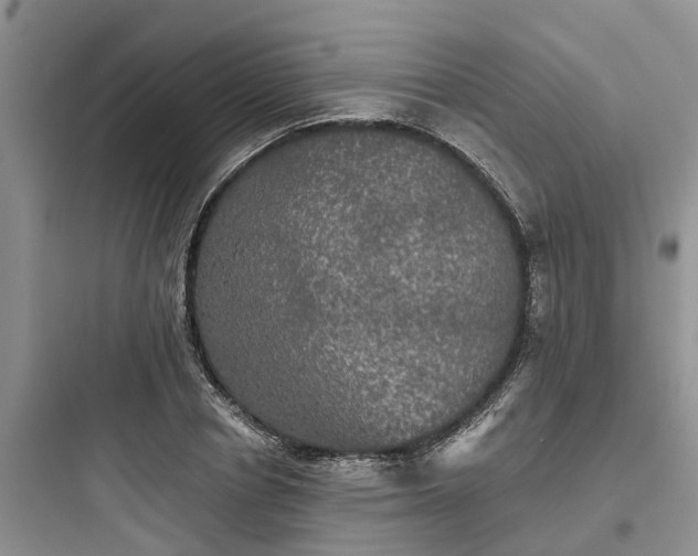 X0000097910834200803211503