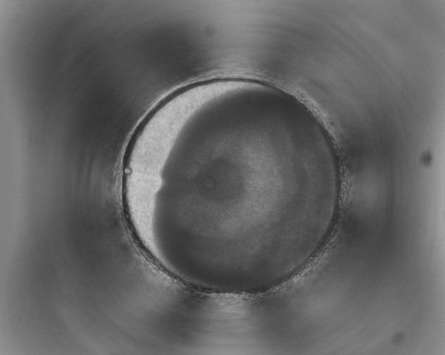 X0000097910836200803211503