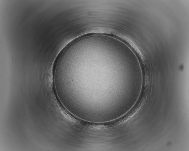 X0000097910837200803211503