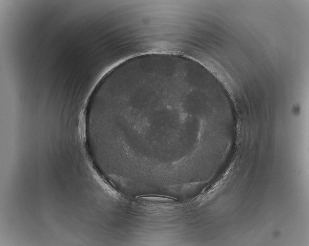 X0000097910838200803211503