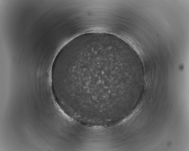 X0000097910839200803211503