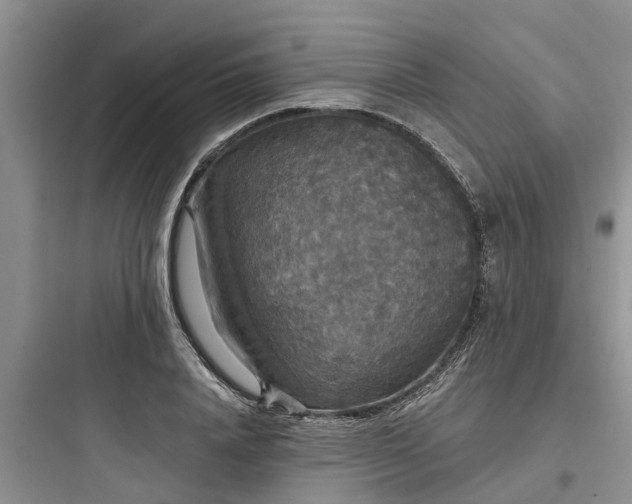 X0000097910840200803211503