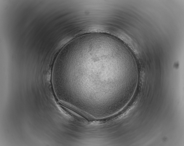 X0000097910841200803211503