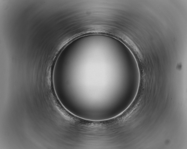 X0000097910842200803211503