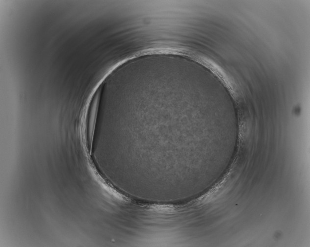 X0000097910844200803211503