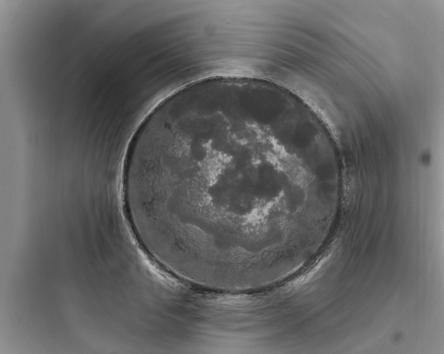 X0000097910845200803211503