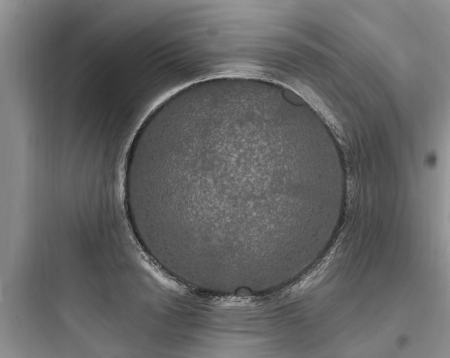 X0000097910846200803211503