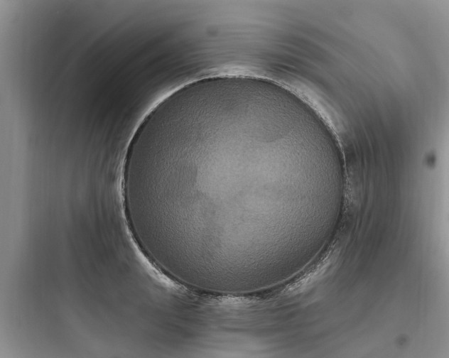 X0000097910847200803211503