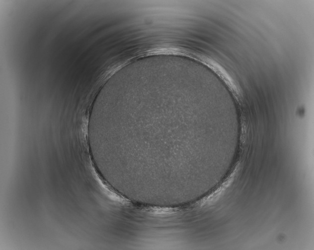 X0000097910849200803211503