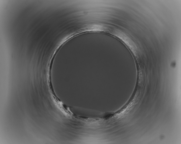 X0000097910850200803211503