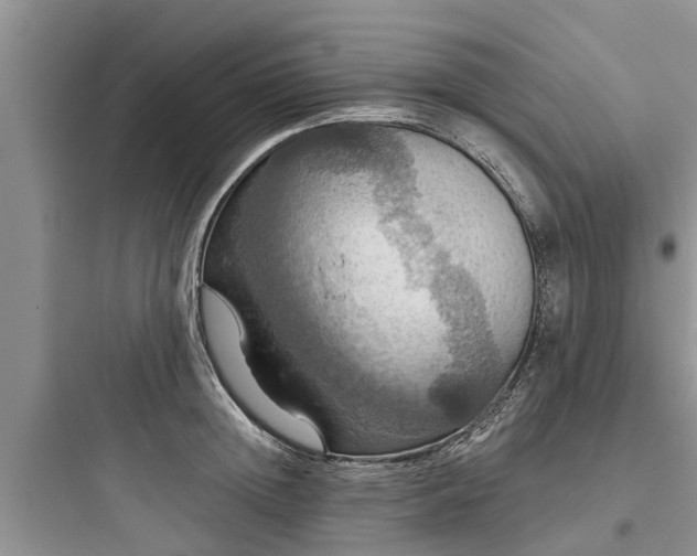 X0000097910852200803211503