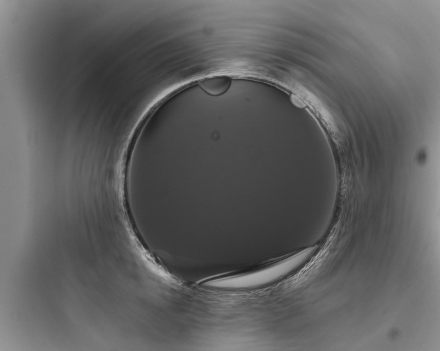 X0000097910854200803211503