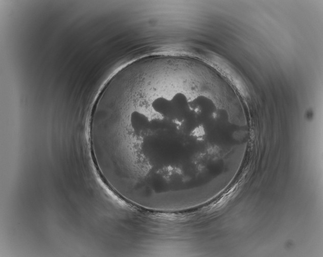 X0000097910855200803211503