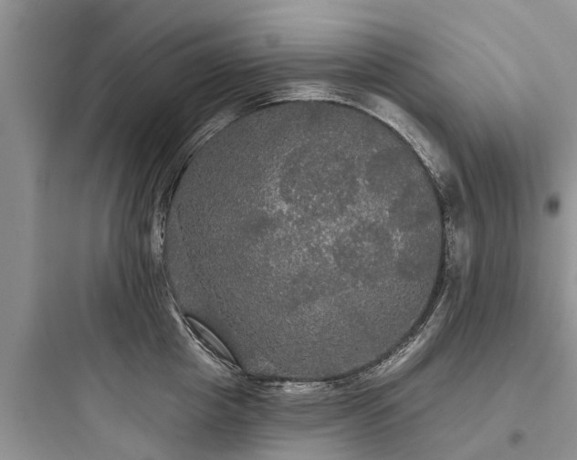 X0000097910857200803211503