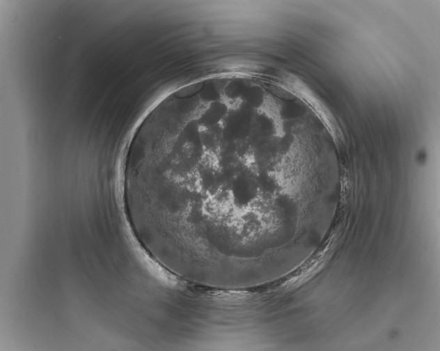 X0000097910859200803211503