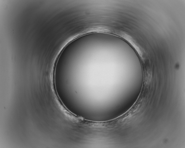 X0000097910861200803211503