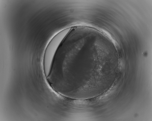 X0000097910863200803211503