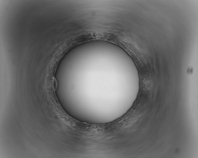 X0000097910865200803211503